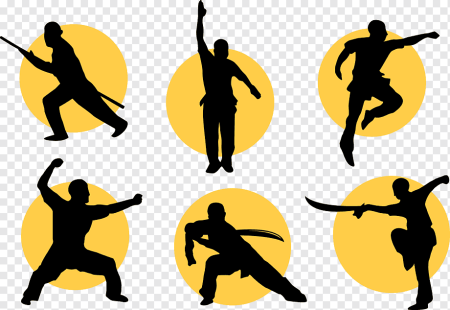 Ушу саньда вектор