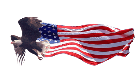 Орел США без фона
