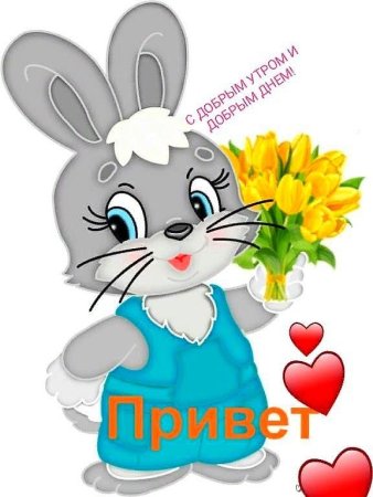 Привет картинки