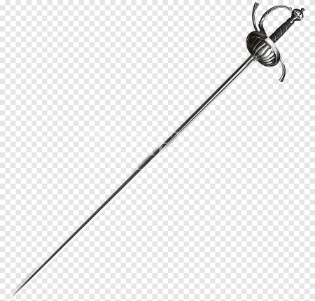 Ribbed Shell Swept Hilt Rapier Sword