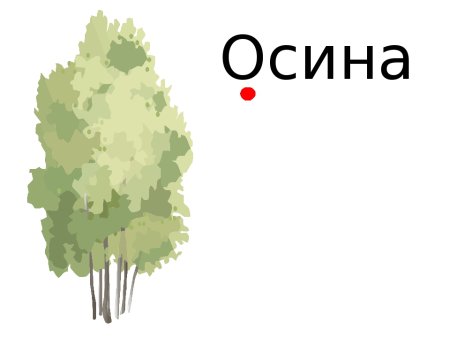 Словарное слово осина