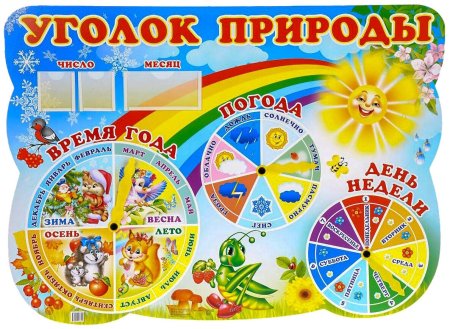 Уголок природы