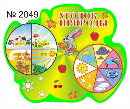 Группа колокольчики в детском саду