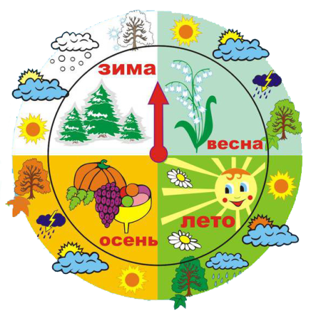 Уголок природы круги