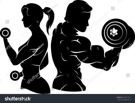 Спортзал вектор