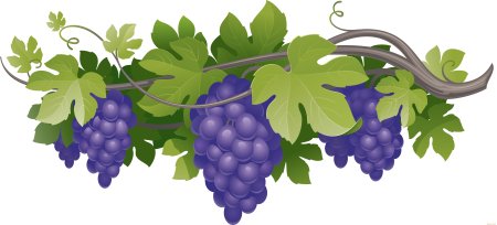 Виноградная лоза вектор вектор