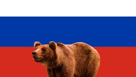 Клипарт русский медведь (38 фото)