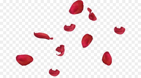 Rose Petals (лепестки роз)