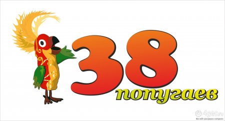 38 Попугаев картинки