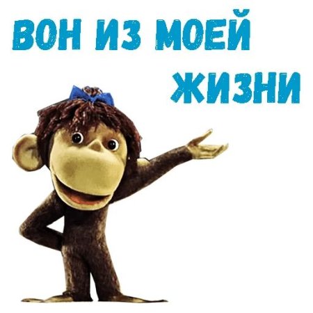 38 Попугаев Стикеры