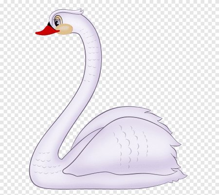 Белый лебедь
