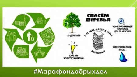 Сбор макулатуры и батареек