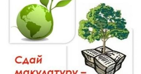 Спаси дерево