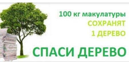 1 Кг макулатуры спасает деревьев
