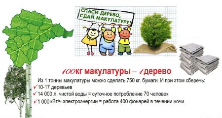 Акция Сдай макулатуру Спаси дерево