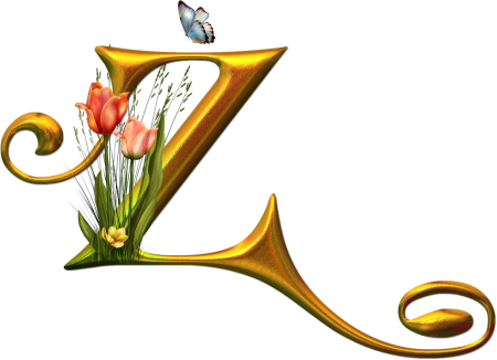 Огненная буква v