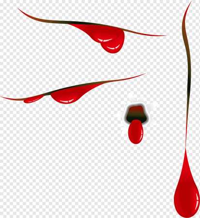 BFDI Assets