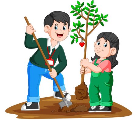Посадка дерева на прозрачном фоне
