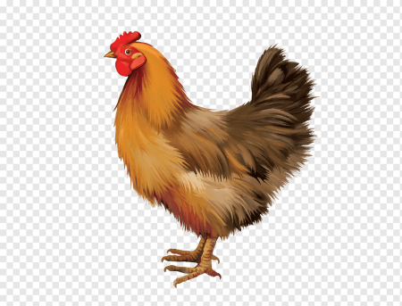 Курица для детей