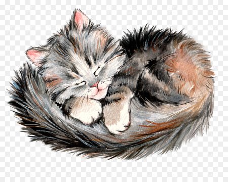 Котенок иллюстрация