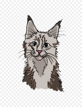 Мультяшный кот Мейн кун