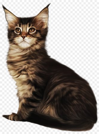 Котенок для ФШ