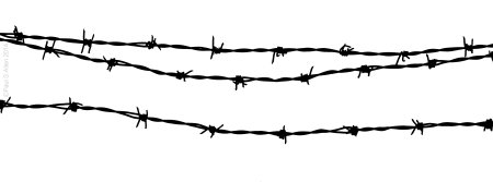 Колючая проволока на белом фоне