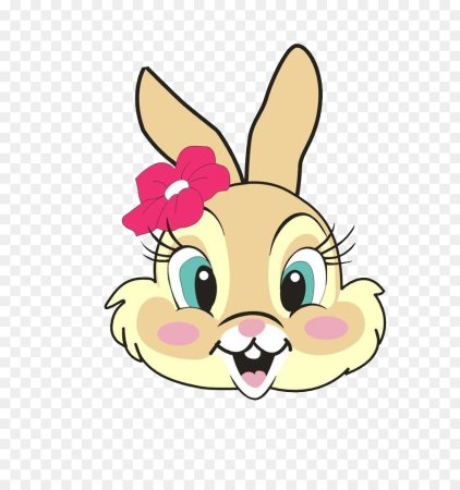 Мордочка зайки