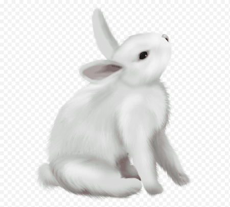 Новогодний заяц