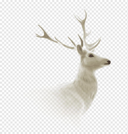 Олень на прозрачном фоне для фотошопа
