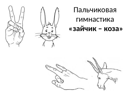 Кинезиологические упражнения заяц коза