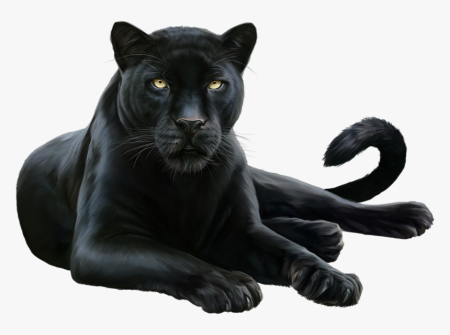 Черная пантера