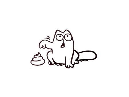 Кот Саймон фон