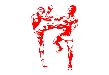 Наклейки кикбоксинг