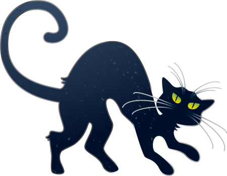 Черная кошка на белом фоне