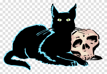 Зла чёрная кошка