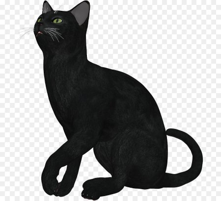 Кошка клипарт