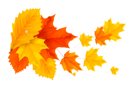 Листья клипарт осень (50 фото)