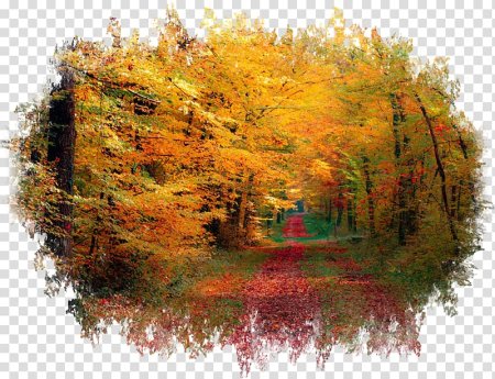 Осень клипарт