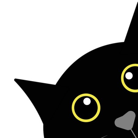 Кошка выглядывает