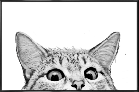 Котик выглядывает арт