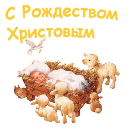 Рождество Христово на прозрачном фоне