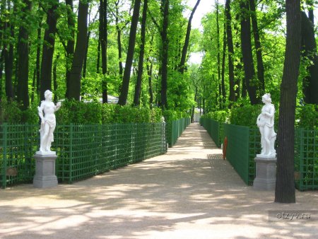 Центральная аллея летнего сада в Санкт-Петербурге