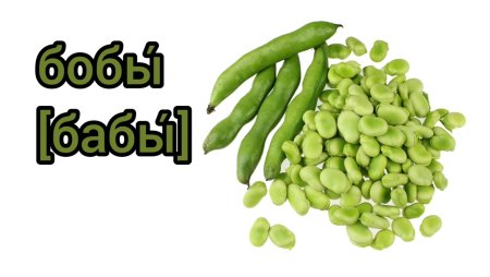 Фасоль Бобы