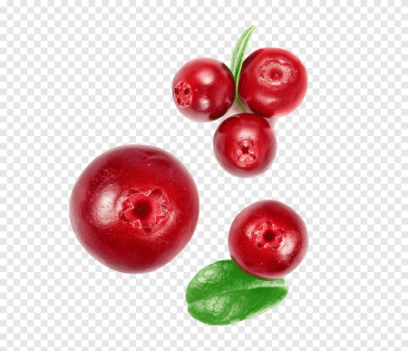 Клюква на белом фоне