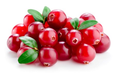 Брусника и клюква отличия внешне