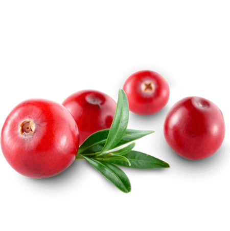 Cowberry брусника