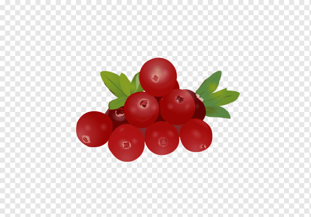 Ягода брусника для детей
