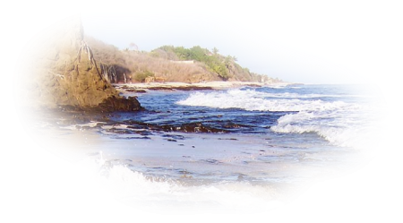 Море пляж