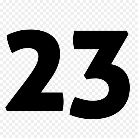 Число 23